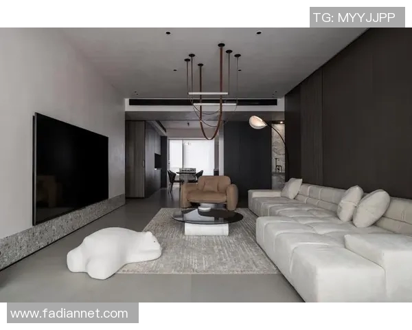 打造温馨舒适的家居环境，探索功能与美学的完美融合设计方案