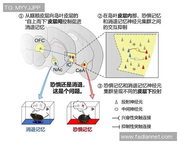舆论引导下的社会共识形成与公众情绪调控机制探析 舆论引导下的社会共识形成与公众情绪调控机制探析